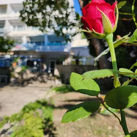 Park-hotel Rusalka 호텔 3*